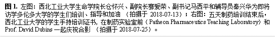 图1. 左图:bat365官方网站登录入口长仓怀兴、副院长骞爱荣、副书记马西平和辅导员秦兴华为即将访学多伦多大学的学生们培训、指导和加油 (拍摄于2018-07-13);右图:五天制药培训结束后,bat365官方网站登录入口的学生手持培训证书, 在制药实验室前(Patheon Pharmaceutics Teaching Laboratory)和Prof. David Dubins一起庆祝合影 (拍摄于2018-07-25)。